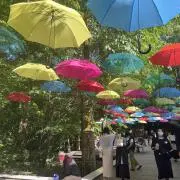 hapiの画像