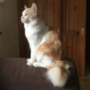 Y M