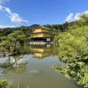 せんりつ