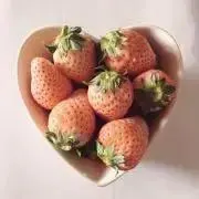 くろみつまめの画像