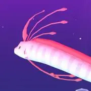 わいの画像