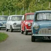 MINIの画像