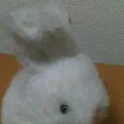 Sumire様 コレットマルーフ クレセント ヘアピン オイル - メルカリ