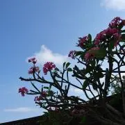 ちっち☆プロフご確認下さいm(._.)mの画像