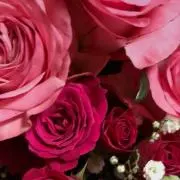 モズエル