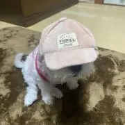 ぱん。週末セール中❣️即購入OK‼️の画像