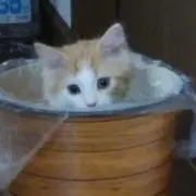 hi-ka