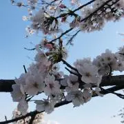 めるの画像