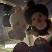 Dの画像