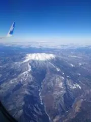 はるの画像