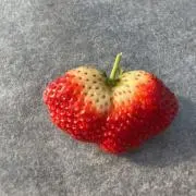いちごあめの画像