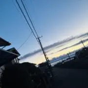 ゆうみんの画像