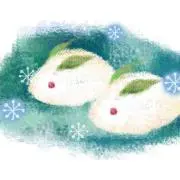 snow usagi