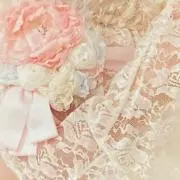ミィの画像
