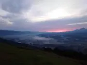 ちよんちやんの画像