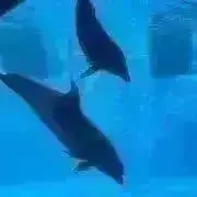 ななみん☆の画像
