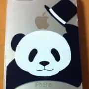 pandaisuki