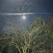 キラ星の画像