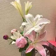 るるるんの画像