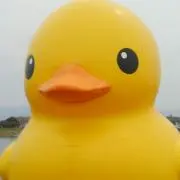 ぶちこ