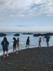 たいれんこうひまの画像