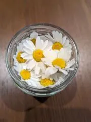 haruの画像