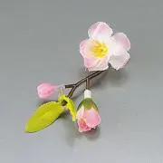 番長恋桜の画像
