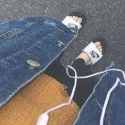 黒豆アザラシの画像