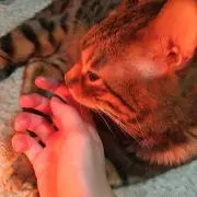 keiの画像