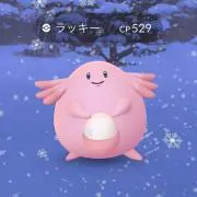 Sunnyの画像