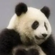 miの画像
