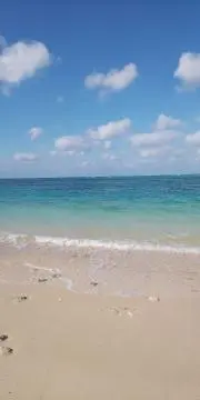 南の世界の画像