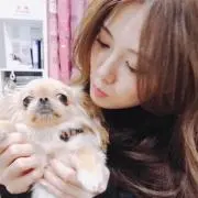 しみず