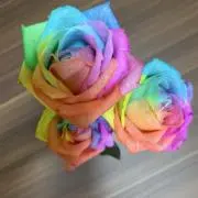 14日〜15日発送出来ませんの画像