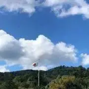 ジーコジーコの画像