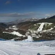 shootの画像