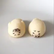 ぽんの画像