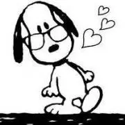 Rina❋の画像