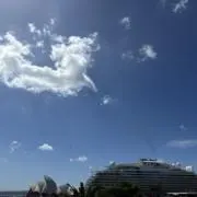 ツリーの画像