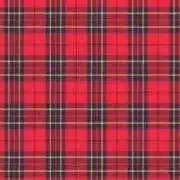 tartancheckの画像
