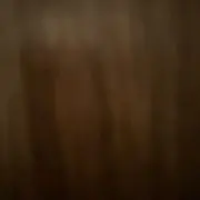 ニコの画像