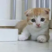 しずく☆
