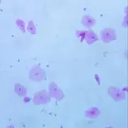 みに！の画像