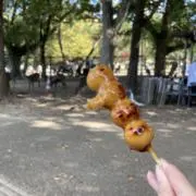 もち粉　断捨離中　17時頃まで18日発送の画像