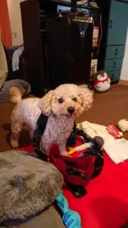 むぎよの画像