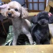 Rikoの画像