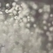 きりん