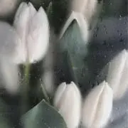 natu_の画像