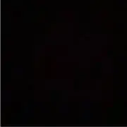 inuの画像
