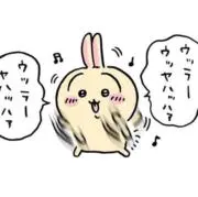 Suoj:3